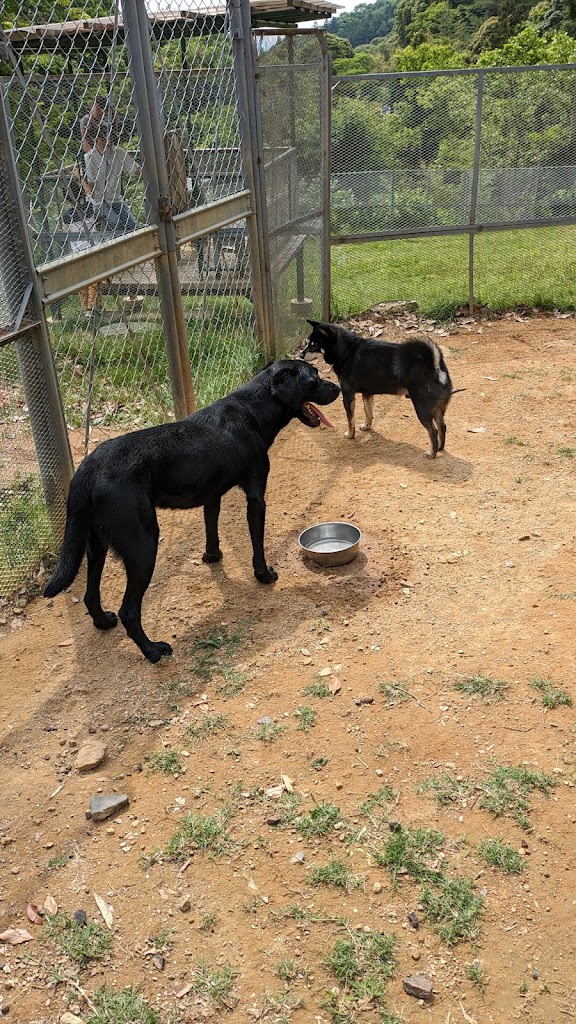 柴の家 ドッグラン