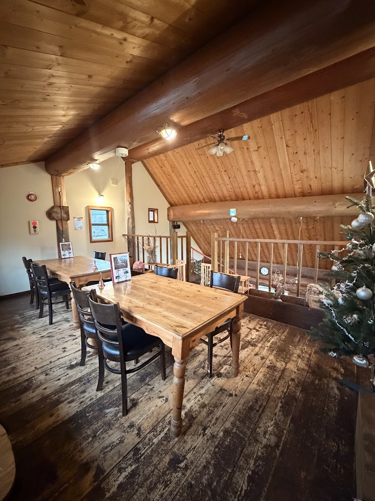 ドッグラン＆カフェ フォルトゥナ（ＦＯＲＴＵＮＡ）