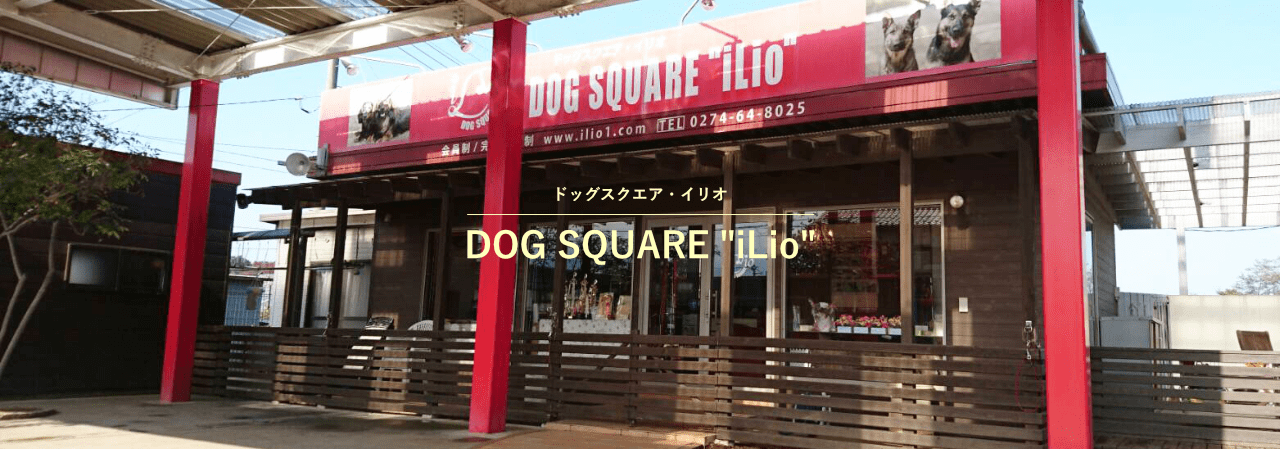 ドッグスクエア・イリオ “iLio”