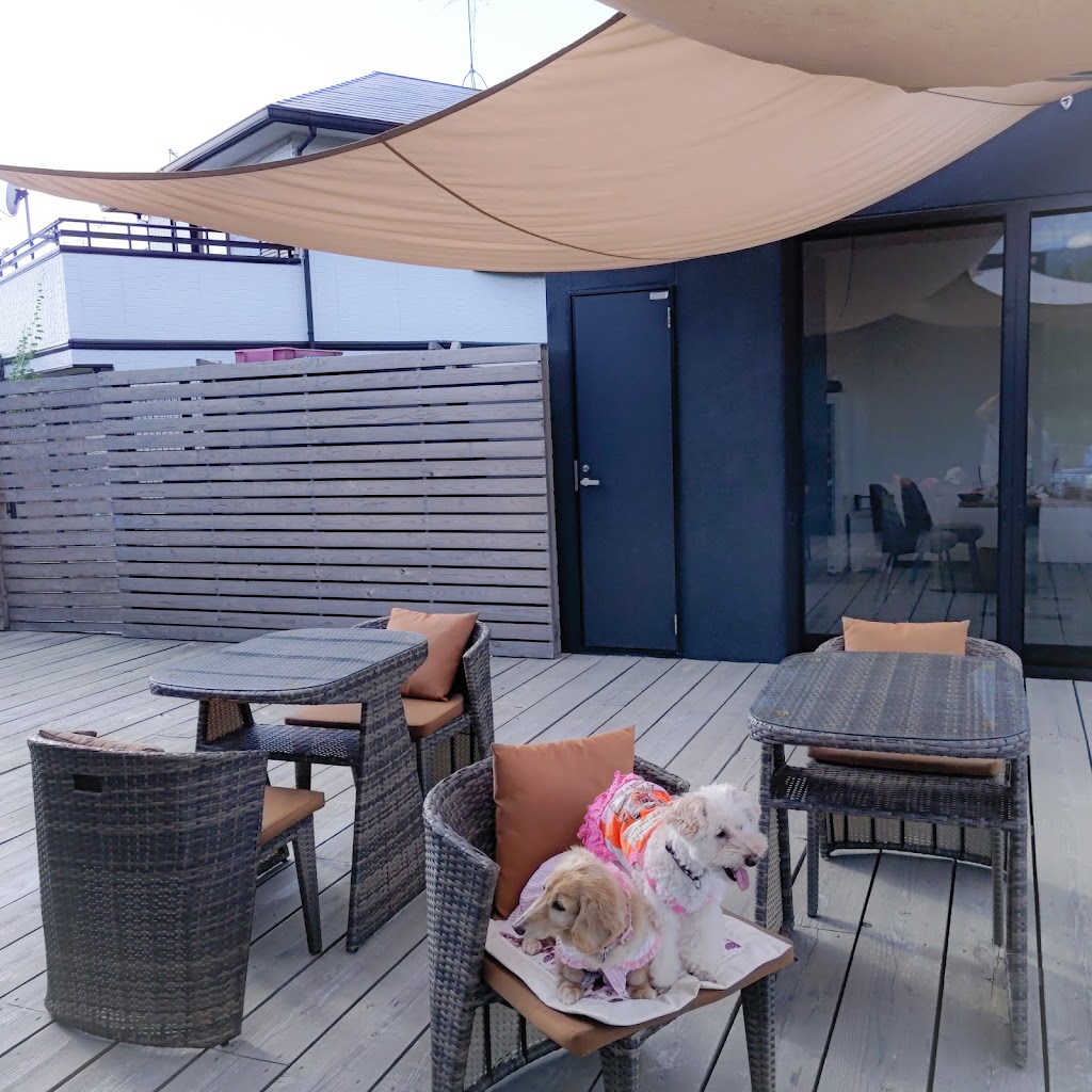 mog und hund モグントフント