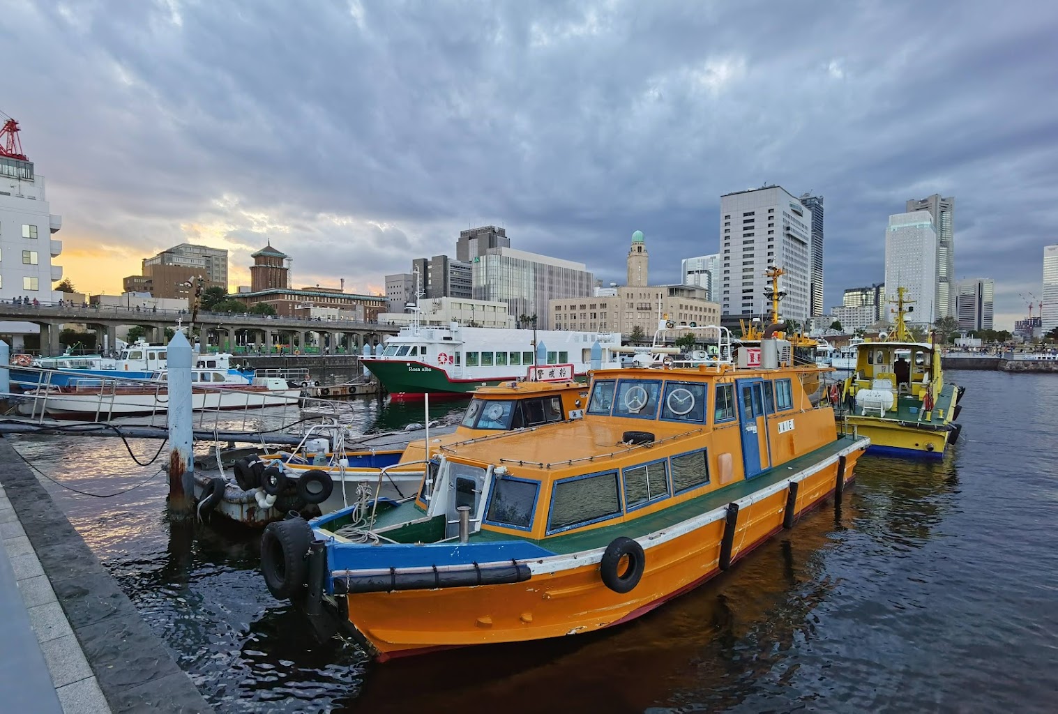 ヨコハマ海上散歩with Dog