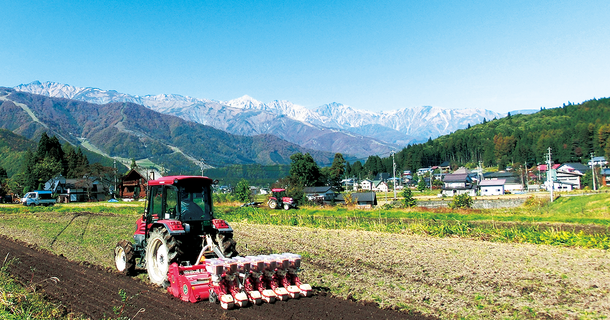 白馬農場 キッチン＆マルシェ 農かふぇ