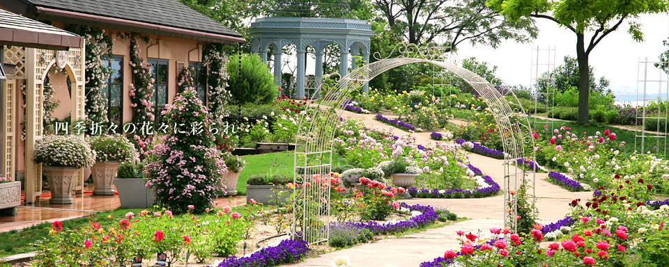 ベル ヴァン ブルージュ