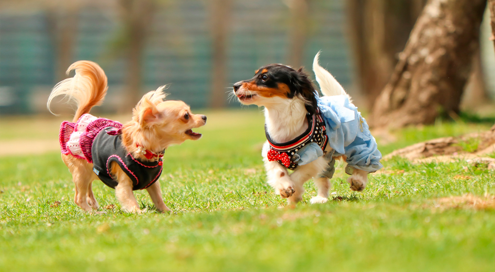 びわ湖 松の浦 別邸