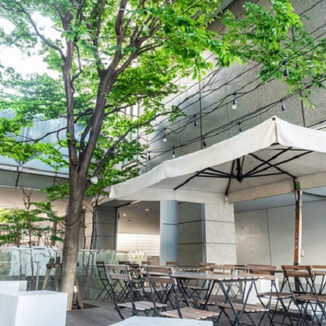 カフェ ハル テラス