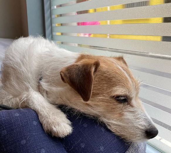 カフェ ラ コスタ