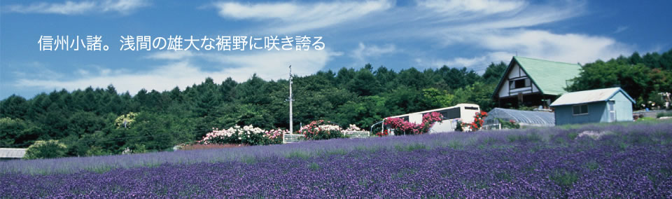 喫茶 ラ テール