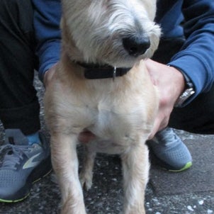 宿泊処 松葉川屋