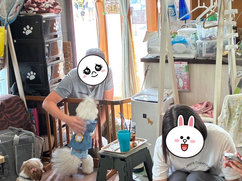 ドッグカフェ ももカフェ