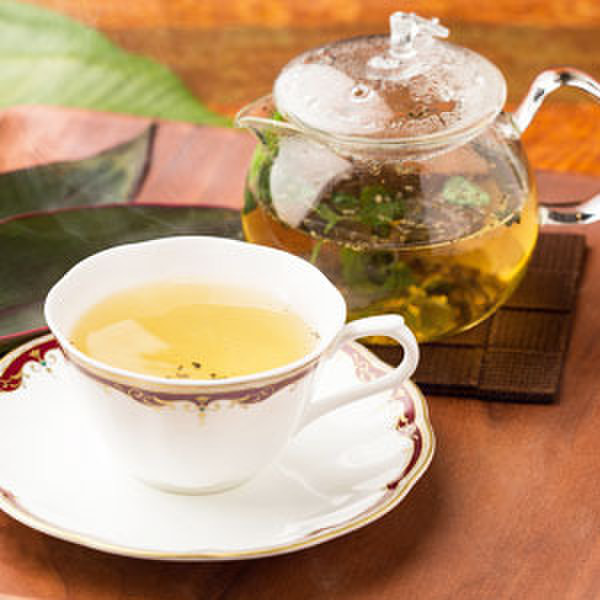 メラ・ナタラジ 蓼科店