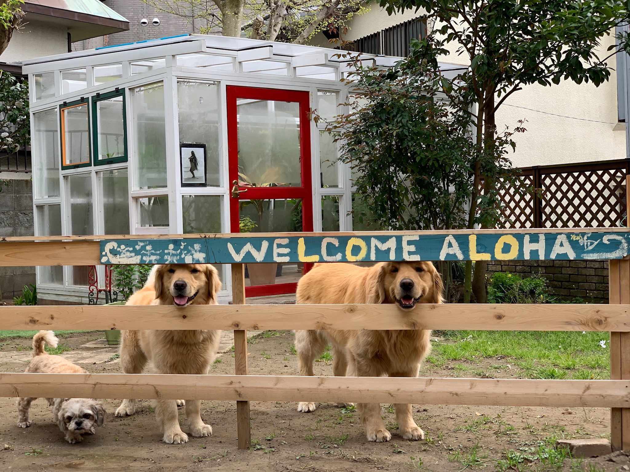 フラ&カフェ ココカイ