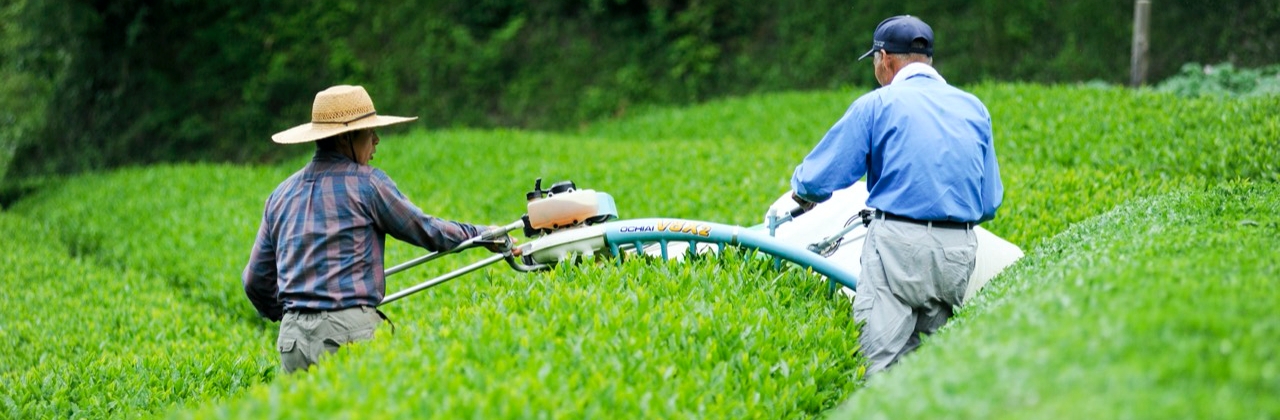 藤野倶楽部 百笑の台所