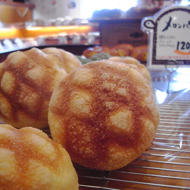 バッケンハイム ボルガ