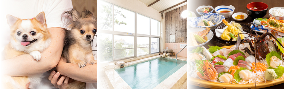 ベイリリィ 国民宿舎しらゆり荘