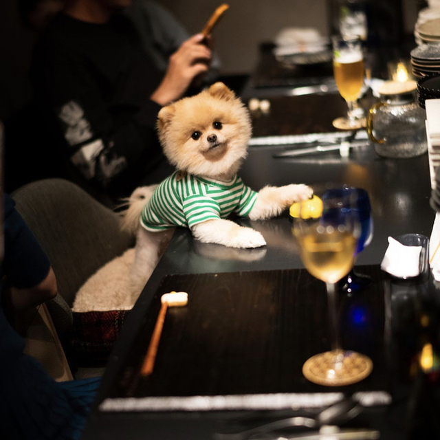 ガストロノミヤ 古賀圭祐