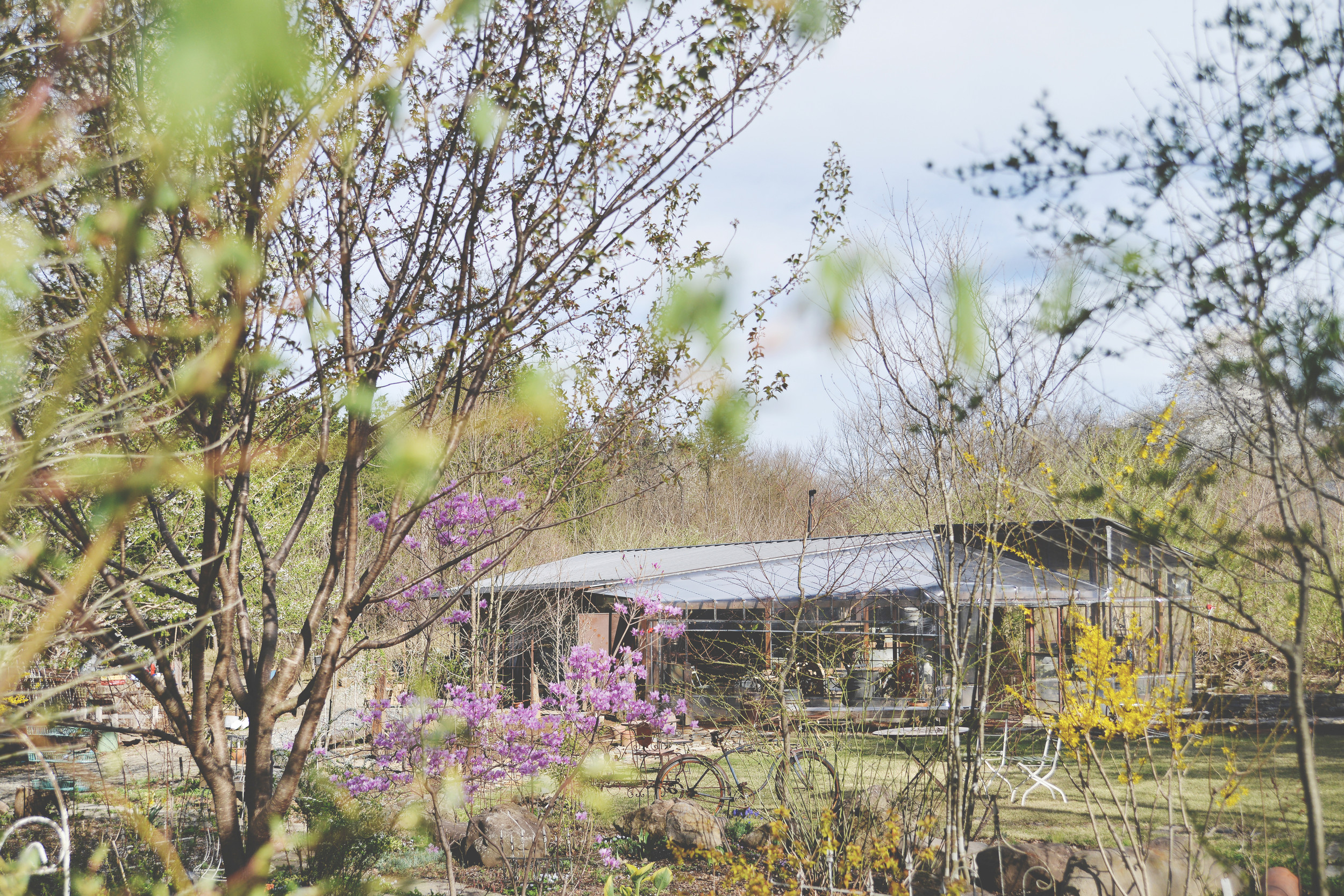 デコ ボタニカル