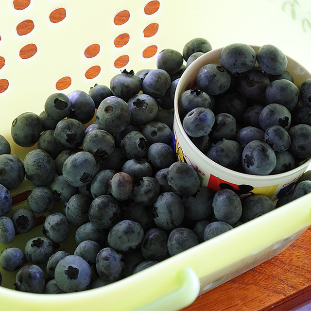 ベリー むらおか