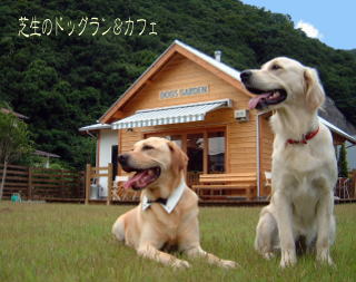 ドッグガーデン びわの木