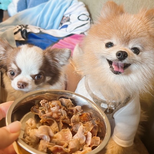 湯河原焼肉 あぼじ