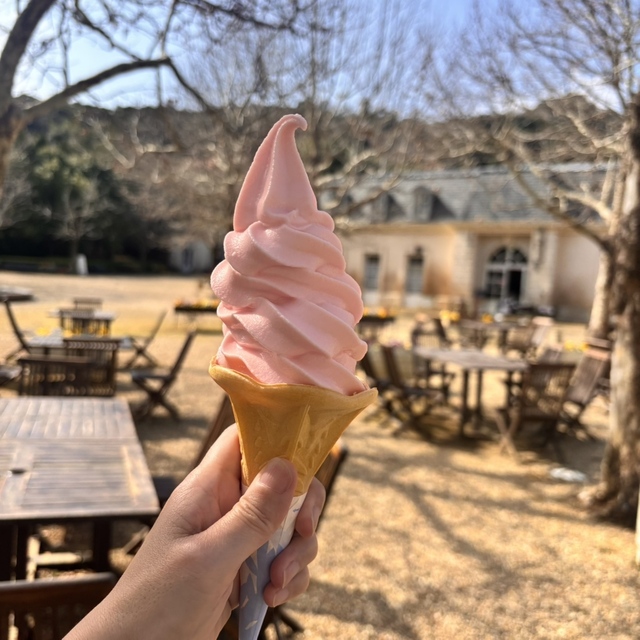 河津バガテル公園 カフェ