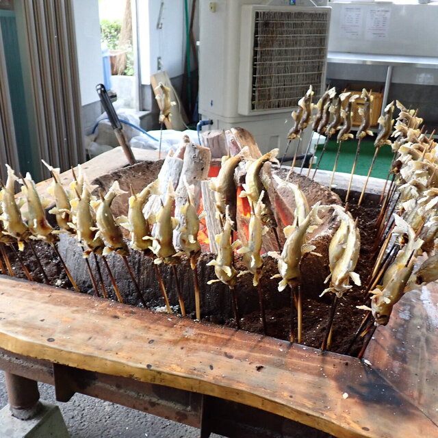 小昼処 かにはさくら