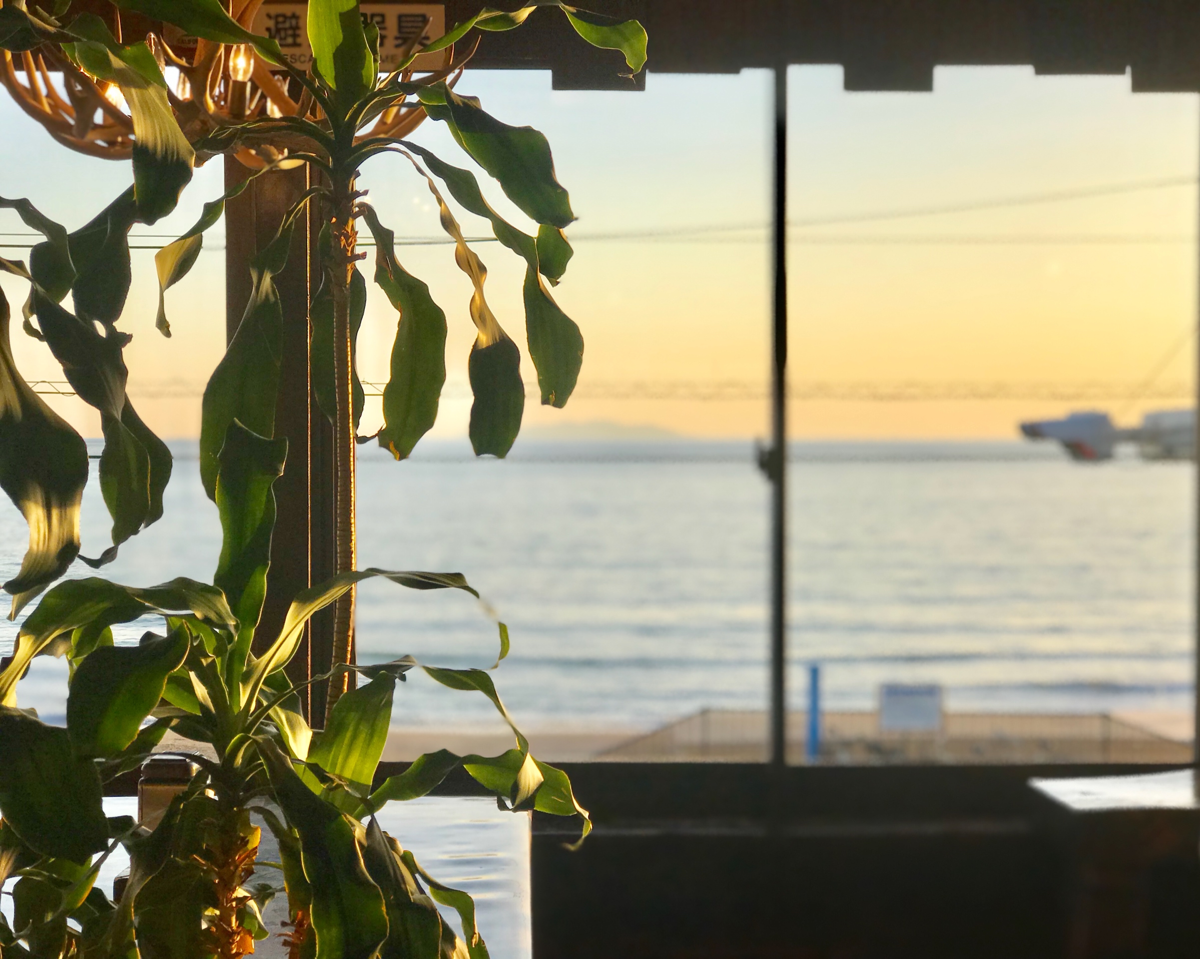 レストラン シードレスバー