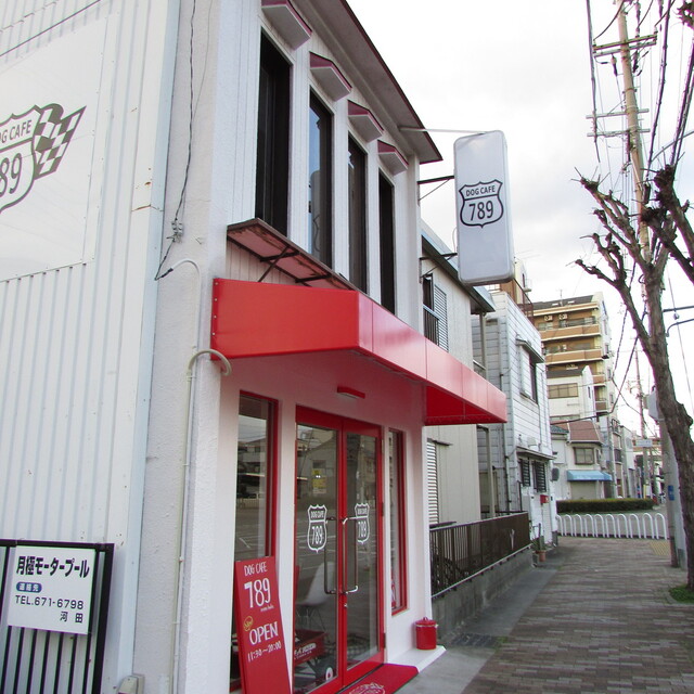 ドッグ カフェ 789