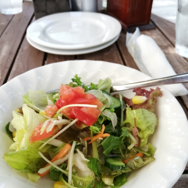 キリヤ プラスチックツリー