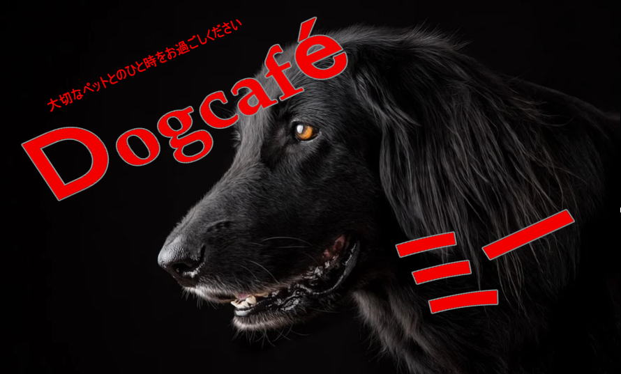 ドッグカフェ ミー