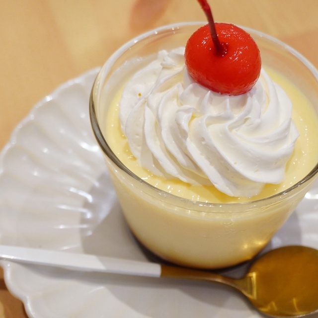 どうぶつ ときどき癒やし