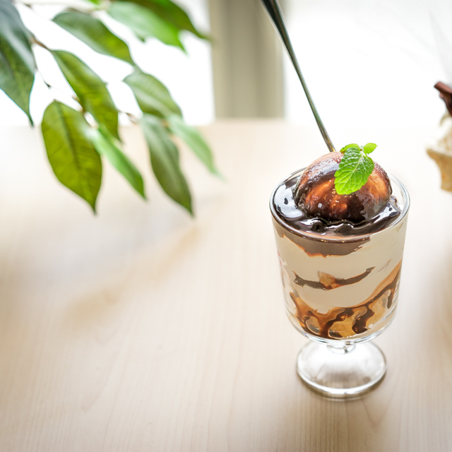 保護犬＆保護猫カフェ 寺田町店