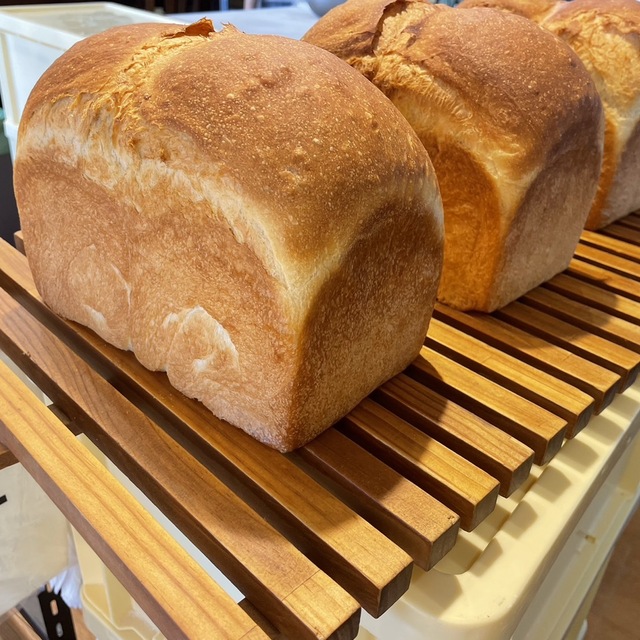 まねきねこ 伊豆高原店