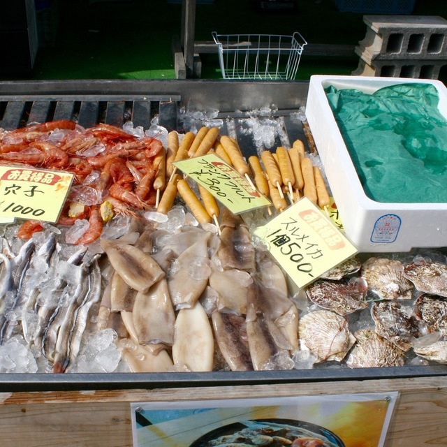 ロングパーク 海のマルシェ