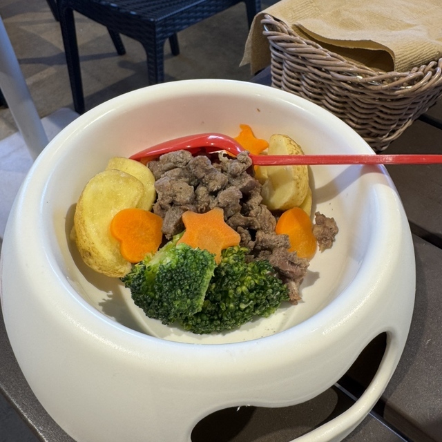 ドッグデプトガーデン 木更津店