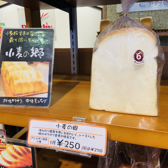 ドロシー 新下関店