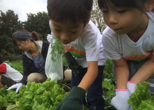 空と大地の丘 森本農園