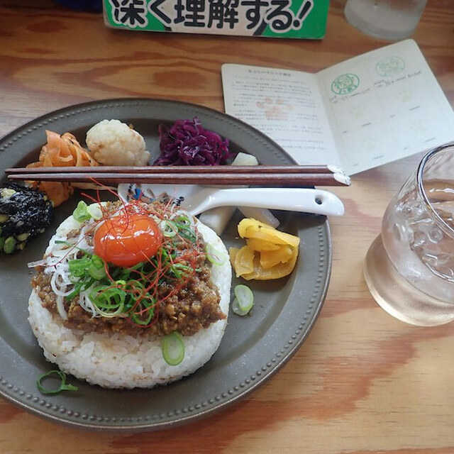 ネコリパブリック 大阪熊取町店