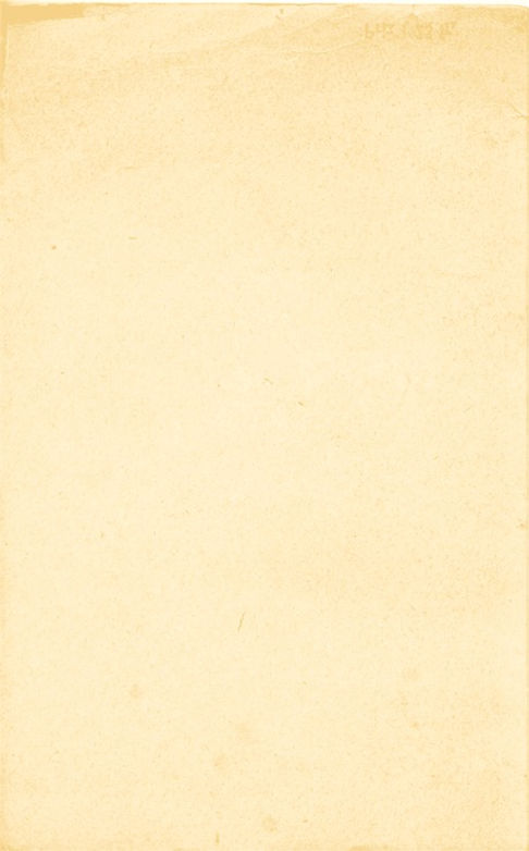 ラッコズ ニューヨークスタイルピザ