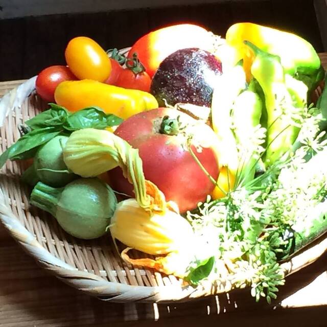 オステリア ジョイア