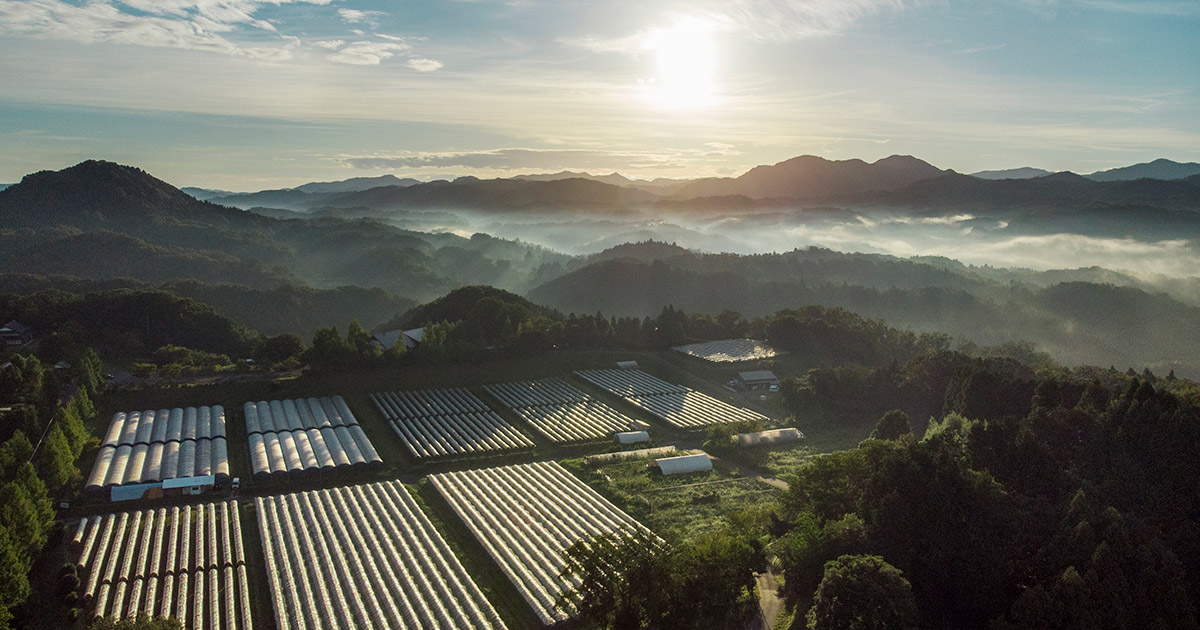 奥出雲葡萄園 庭カフェ