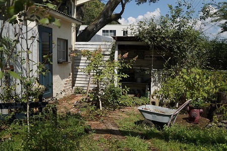 カフェ ミモザガーデン