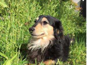 ホテルルナパーク 別邸やすらぎ