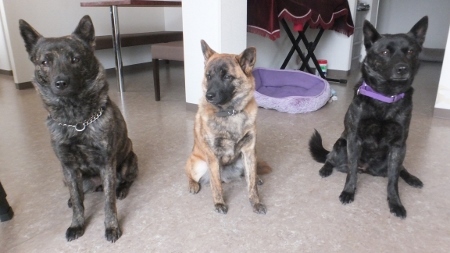 ビアカフェ 雪・だるま