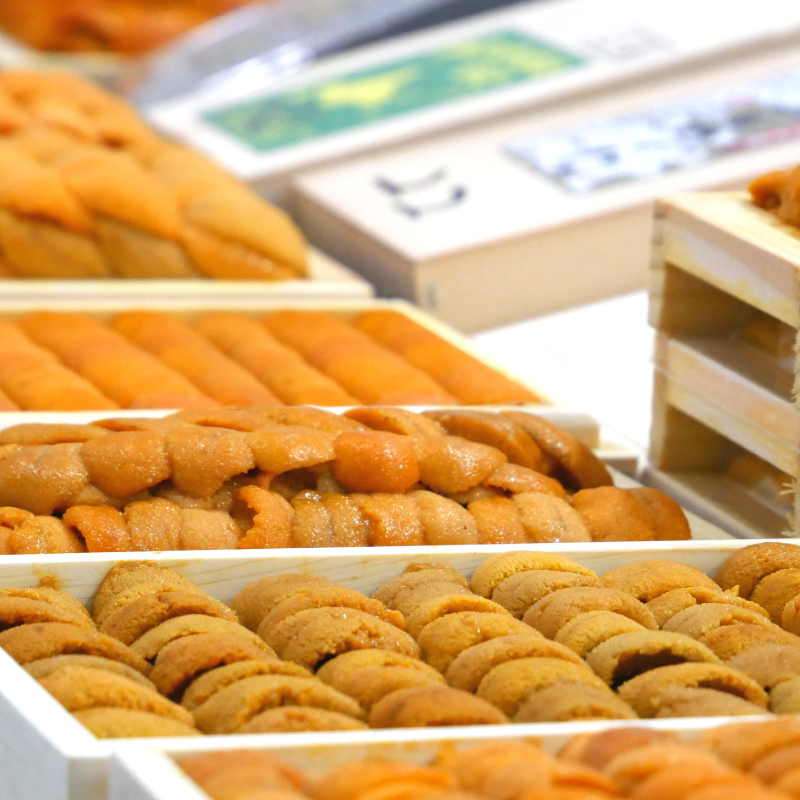 ウニ専門レストラン  unico-co