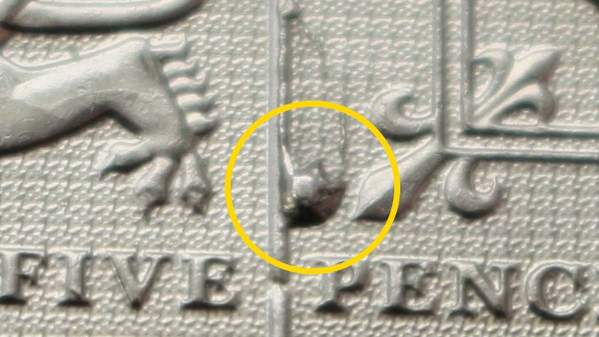 ブリキボタン CAFE＆DINING