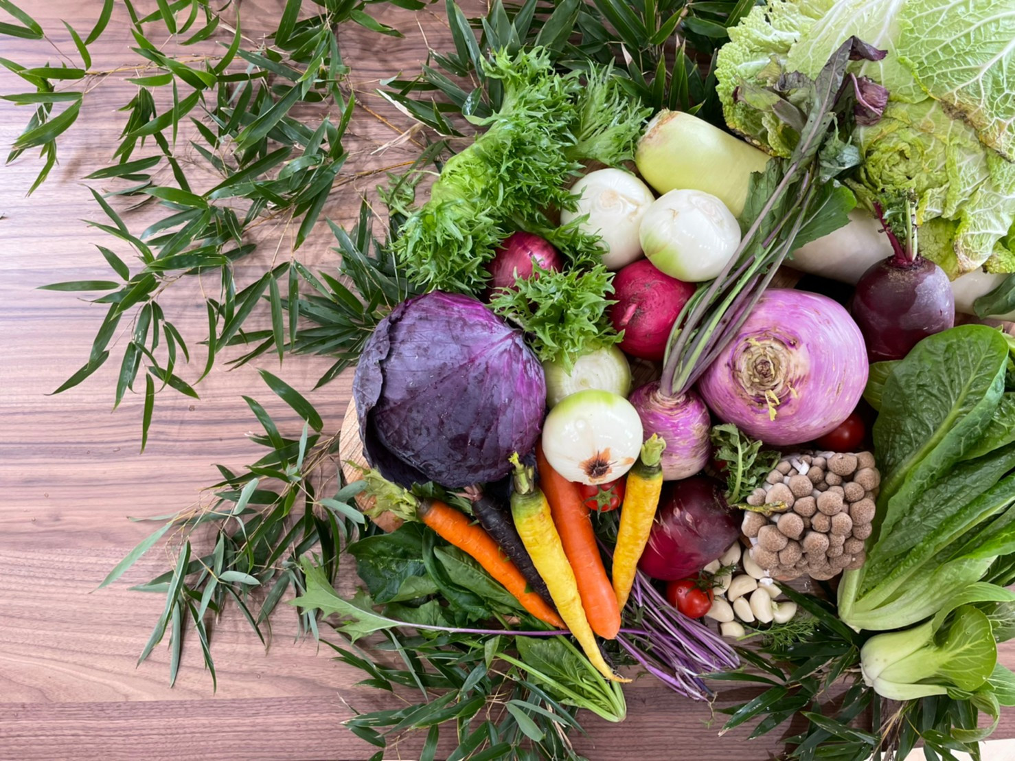 旬菜肆景イタリアン calma