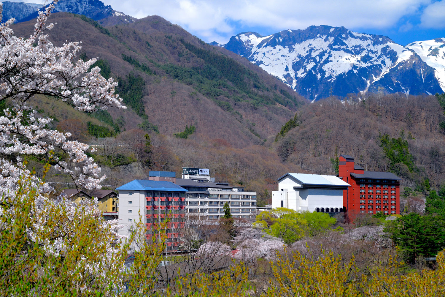 薪窯レストラン M Forest