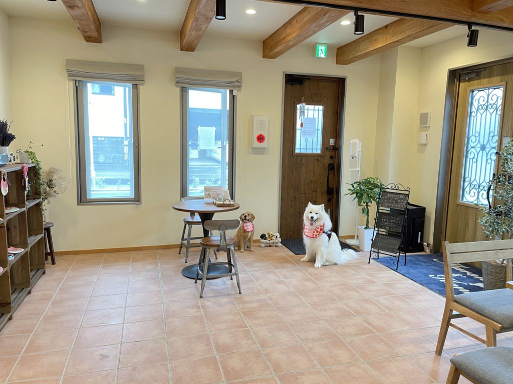 ドッグラン&カフェ Maron&Hanny