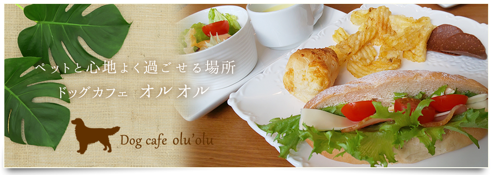 ドッグカフェ olu'olu