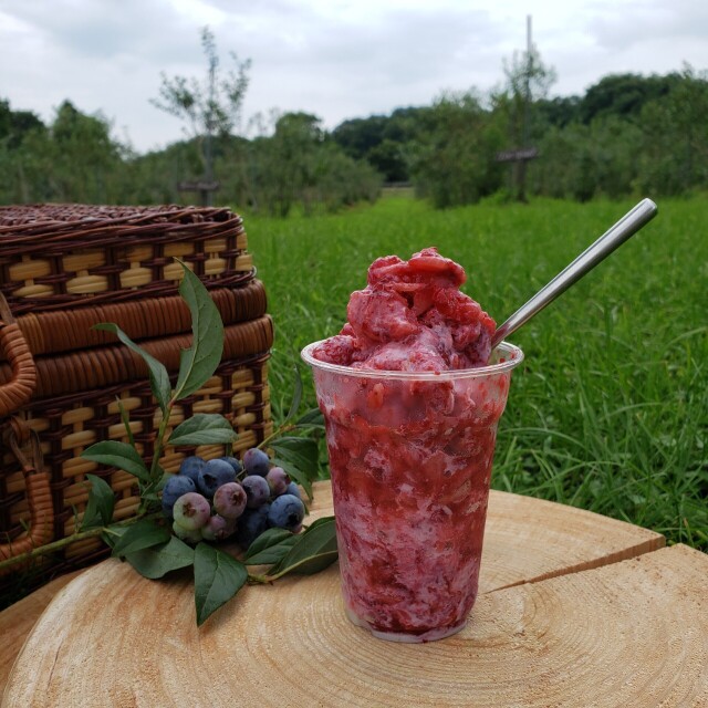 58ブルーベリーガーデン那須